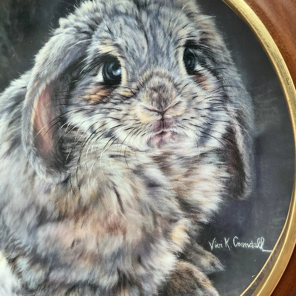 1998 Bradford Exchange Vivi Crandall‎ Bunny Tales FRAMED Plate 